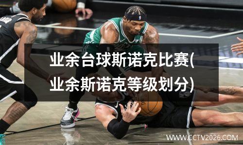 业余台球斯诺克比赛(业余斯诺克等级划分)