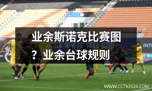 业余斯诺克比赛图？业余台球规则