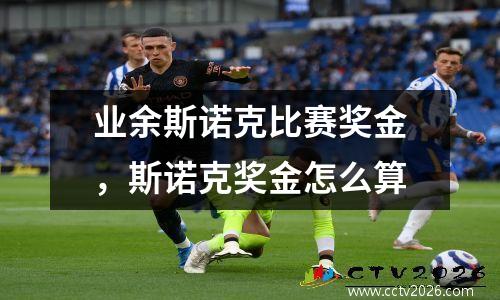 业余斯诺克比赛奖金，斯诺克奖金怎么算