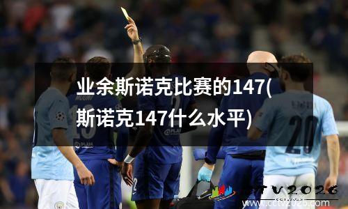 业余斯诺克比赛的147(斯诺克147什么水平)