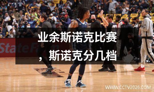 业余斯诺克比赛，斯诺克分几档