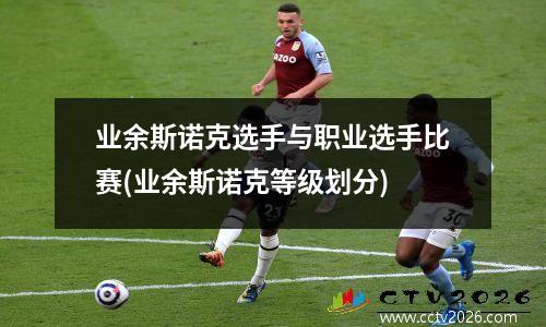 业余斯诺克选手与职业选手比赛(业余斯诺克等级划分)