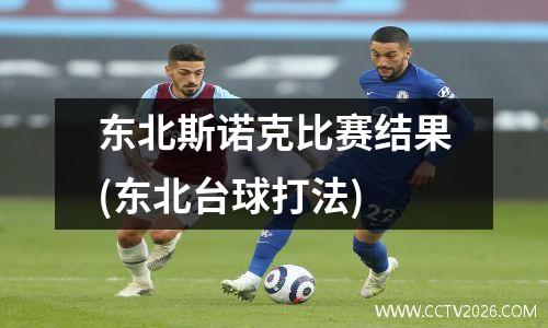 东北斯诺克比赛结果(东北台球打法)