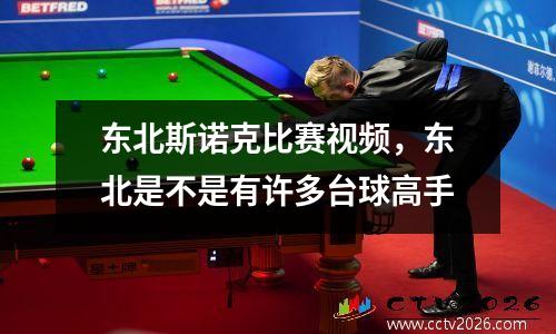 东北斯诺克比赛视频，东北是不是有许多台球高手