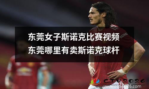东莞女子斯诺克比赛视频 东莞哪里有卖斯诺克球杆