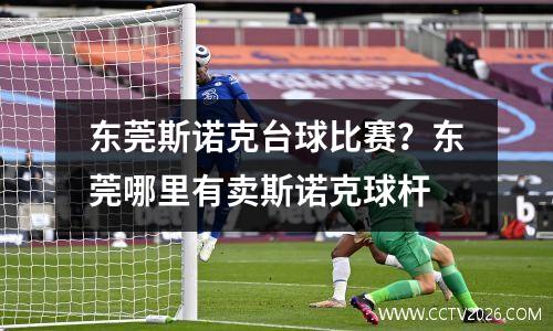 东莞斯诺克台球比赛？东莞哪里有卖斯诺克球杆