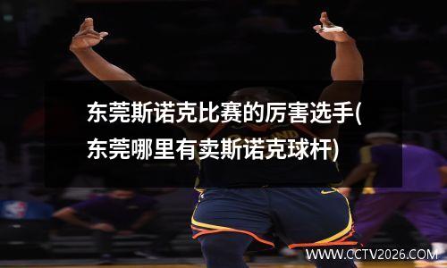 东莞斯诺克比赛的厉害选手(东莞哪里有卖斯诺克球杆)