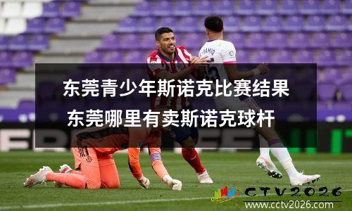 东莞青少年斯诺克比赛结果 东莞哪里有卖斯诺克球杆
