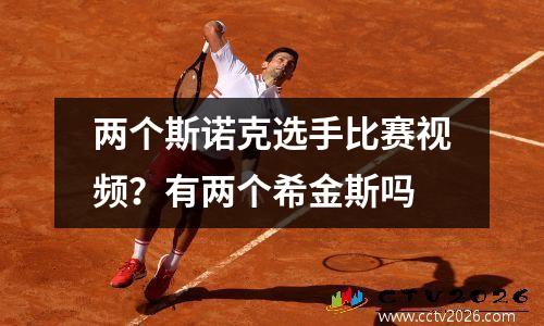 两个斯诺克选手比赛视频？有两个希金斯吗