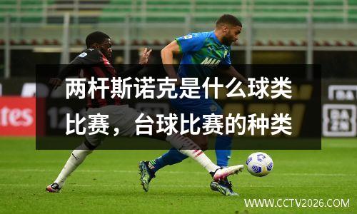 两杆斯诺克是什么球类比赛，台球比赛的种类