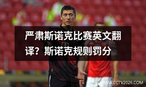 严肃斯诺克比赛英文翻译？斯诺克规则罚分