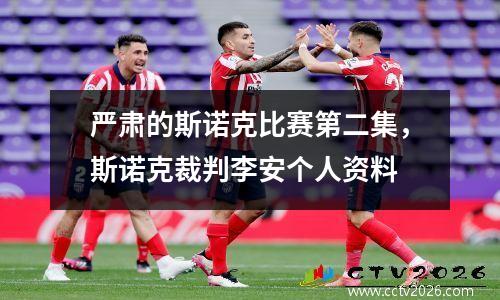 严肃的斯诺克比赛第二集，斯诺克裁判李安个人资料