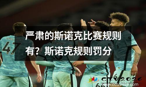严肃的斯诺克比赛规则有？斯诺克规则罚分