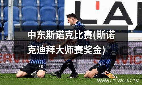 中东斯诺克比赛(斯诺克迪拜大师赛奖金)