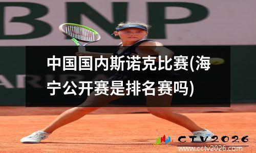 中国国内斯诺克比赛(海宁公开赛是排名赛吗)