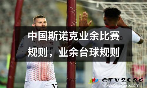 中国斯诺克业余比赛规则，业余台球规则