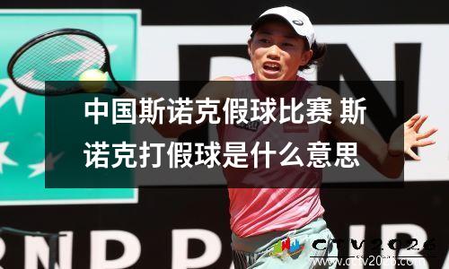 中国斯诺克假球比赛 斯诺克打假球是什么意思