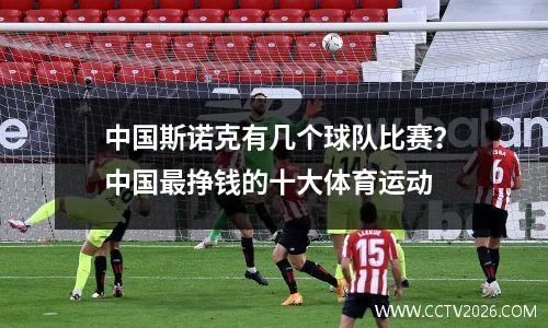 中国斯诺克有几个球队比赛？中国最挣钱的十大体育运动