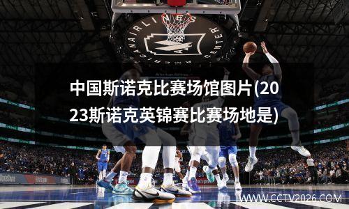 中国斯诺克比赛场馆图片(2023斯诺克英锦赛比赛场地是)