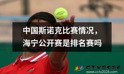 中国斯诺克比赛情况，海宁公开赛是排名赛吗