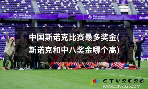 中国斯诺克比赛最多奖金(斯诺克和中八奖金哪个高)
