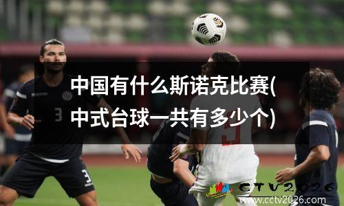 中国有什么斯诺克比赛(中式台球一共有多少个)