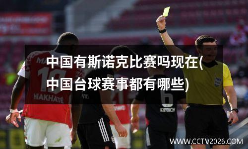 中国有斯诺克比赛吗现在(中国台球赛事都有哪些)