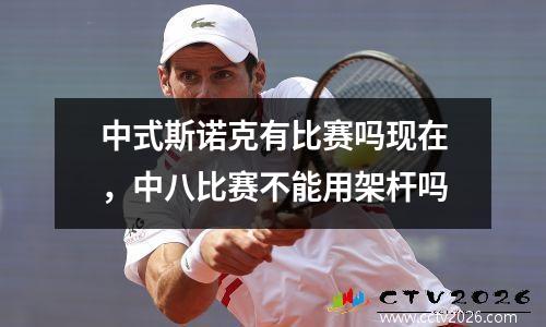 中式斯诺克有比赛吗现在，中八比赛不能用架杆吗