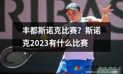 丰都斯诺克比赛？斯诺克2023有什么比赛