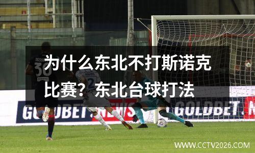 为什么东北不打斯诺克比赛？东北台球打法