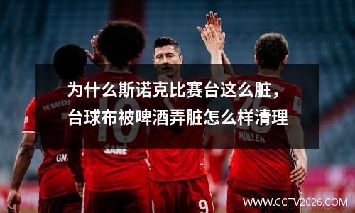 为什么斯诺克比赛台这么脏，台球布被啤酒弄脏怎么样清理