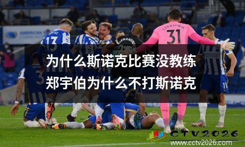 为什么斯诺克比赛没教练 郑宇伯为什么不打斯诺克