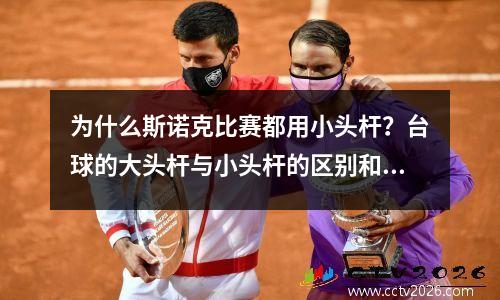 为什么斯诺克比赛都用小头杆？台球的大头杆与小头杆的区别和特点是什么