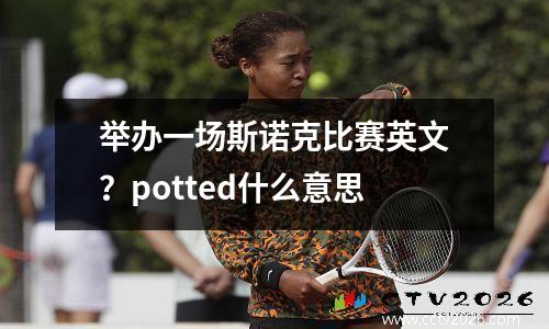 举办一场斯诺克比赛英文？potted什么意思
