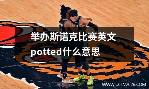 举办斯诺克比赛英文 potted什么意思