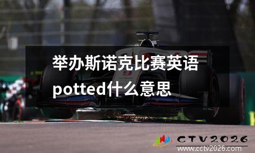 举办斯诺克比赛英语 potted什么意思