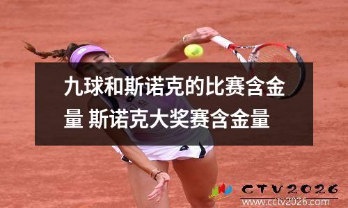 九球和斯诺克的比赛含金量 斯诺克大奖赛含金量