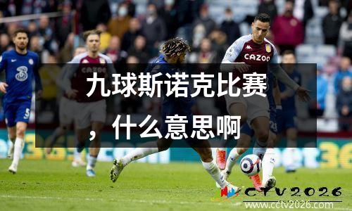 九球斯诺克比赛，什么意思啊