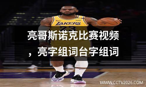 亮哥斯诺克比赛视频，亮字组词台字组词
