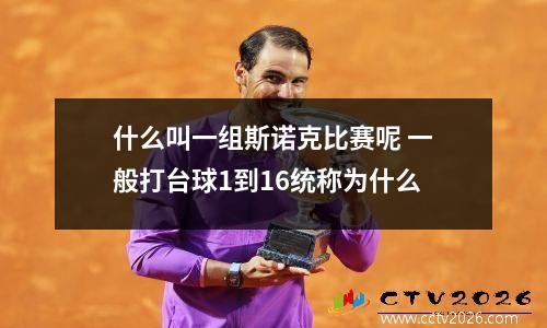 什么叫一组斯诺克比赛呢 一般打台球1到16统称为什么