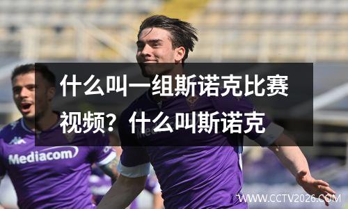 什么叫一组斯诺克比赛视频？什么叫斯诺克