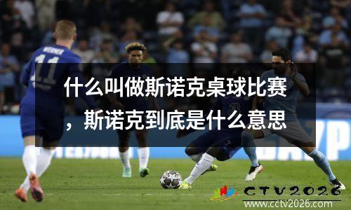 什么叫做斯诺克桌球比赛，斯诺克到底是什么意思
