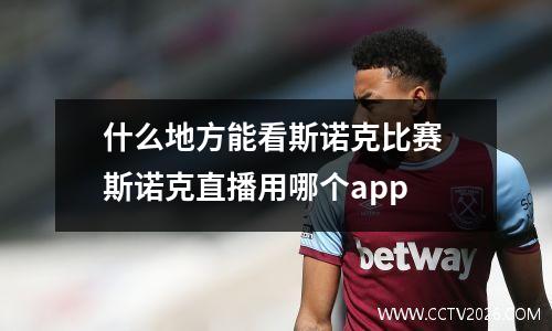 什么地方能看斯诺克比赛 斯诺克直播用哪个app