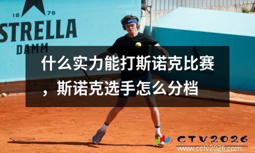 什么实力能打斯诺克比赛，斯诺克选手怎么分档