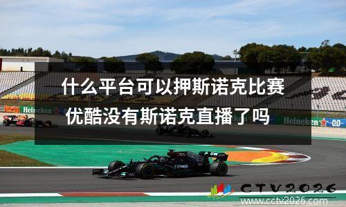 什么平台可以押斯诺克比赛 优酷没有斯诺克直播了吗