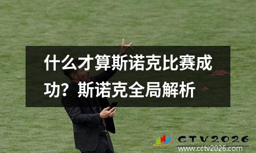 什么才算斯诺克比赛成功？斯诺克全局解析