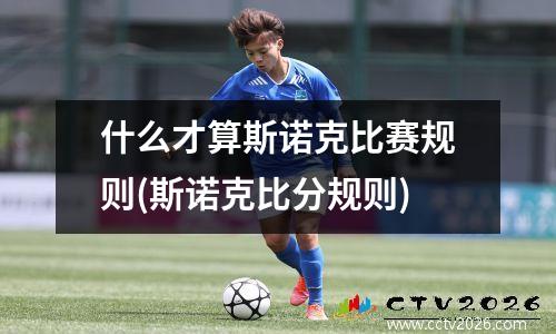 什么才算斯诺克比赛规则(斯诺克比分规则)