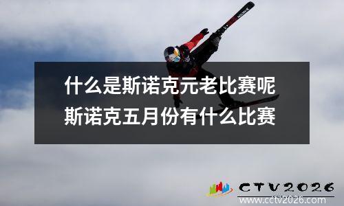 什么是斯诺克元老比赛呢 斯诺克五月份有什么比赛