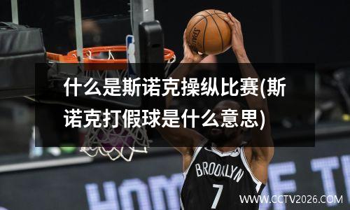 什么是斯诺克操纵比赛(斯诺克打假球是什么意思)