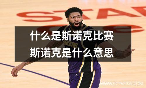 什么是斯诺克比赛 斯诺克是什么意思